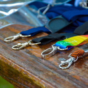 Lanyards – Conferences & Seminars